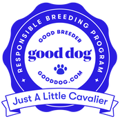Cavalier Good Dog Breeder
