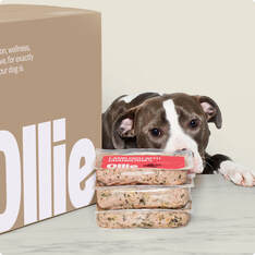 Ollie Dog Food for Cavalier King Charles Spaniel