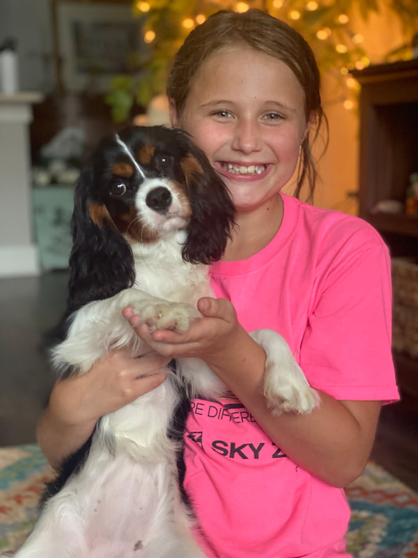 Finley with Cavalier puppy